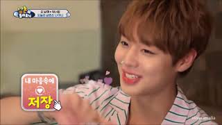 Download lagu Park Jihoon - Tổng hợp các clip Aegyo (Jeojang & Kkukkukkakka)  🌱❤️ mp3