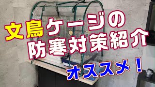 【防寒対策】文鳥ケージ我が家の防寒対策【おすすめ】