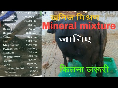 Mineral mixture for cow & buffalo