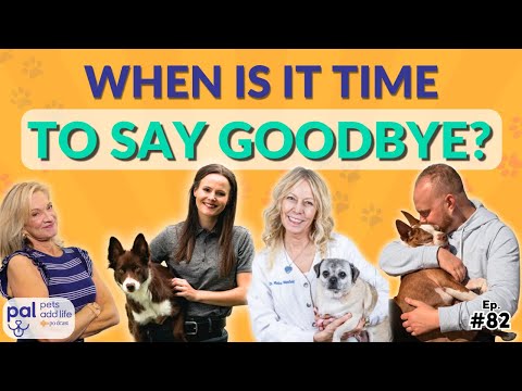 How to Know It's Time to Say Goodbye (Vet Guide) | Pets Add Life Ep. 82