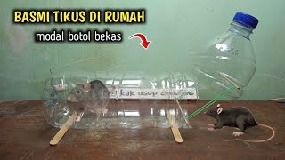 Download lagu MOUSE TRAP FROM USED BOTTLES, THE MOST EFFECTIVE mp3