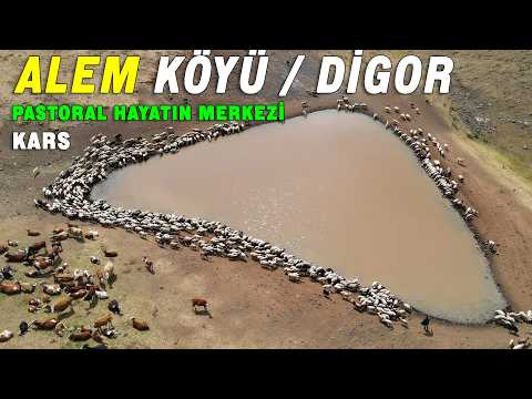 Digor Alem Village / Kars