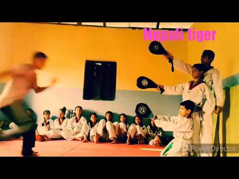 TAEKWONDO best kick 2021-2022 best tkd actions of nepal