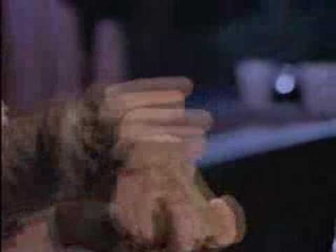 Žlutý pes - Sametová