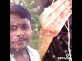 Raja Ko Rane Se