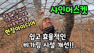 샤인머스켓 포도 비가림 시설 효과적 개선사례 쉽고 편리한 미니연동 포도의 관점에서 바라보기