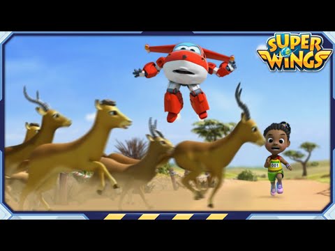 Witness21 Editor  2023 05 28