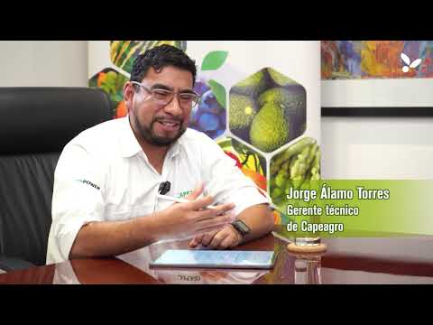 Capeagro: Innovación agrícola con nanotecnología para cultivos más productivos -  VIDEO
