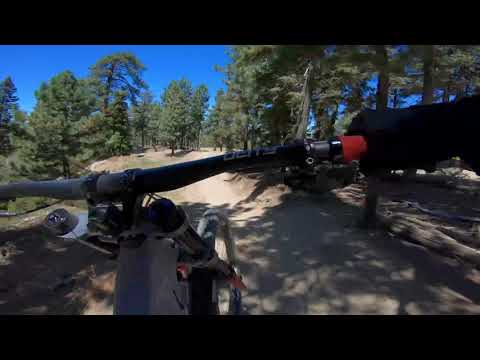 Specialized Enduro Mullet Review