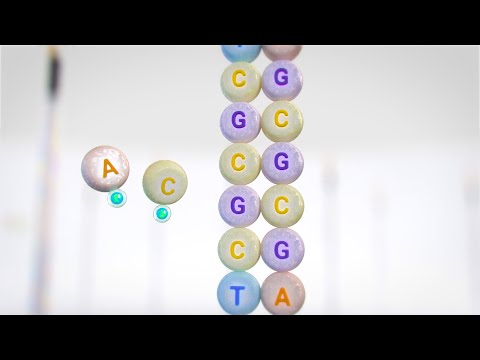 Overview of Illumina Sequencing by Synthesis Workflow | XLEAP SBS chemistry