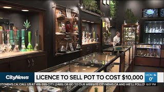 Licence to run pot shop to cost $10,000