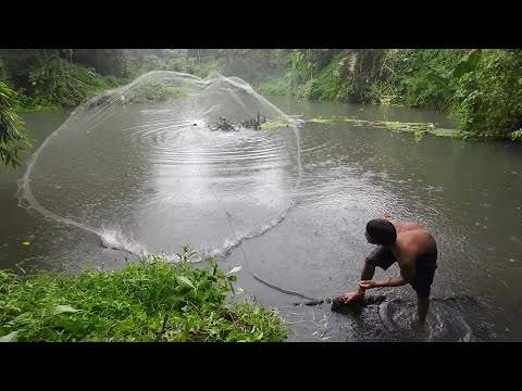 SE03EP175 - MINI LAGOON | BLACK BERRY na TILAPIA ala MAMAW sa MINI LAGOON ng SAMPAGA San Antonio Que