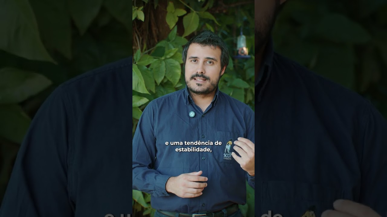 Primeira semana de setembro deve ser de preços entre estabilidade à alta para a arroba do boi gordo