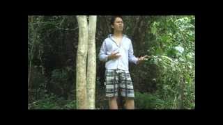 Download lagu BackSeat Boys: I want it that way ( unfinished version ) mp3