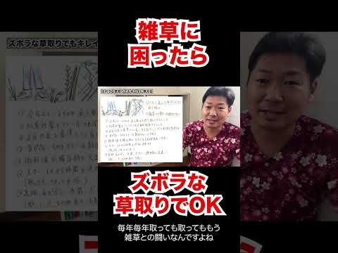 広い場所の除草方法は？雑草を完全かつ迅速に除去する 4 つの自然な方法  庭園