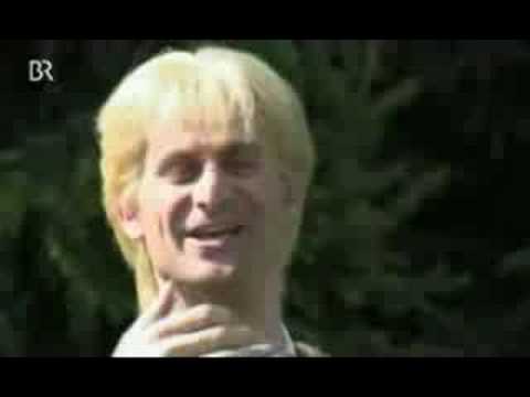 die stimme der wälder