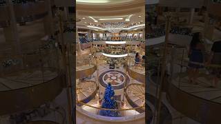 Royal Princess Cruise Piazza #royalprincesspiazza #royalprincesscruise #princesscriise