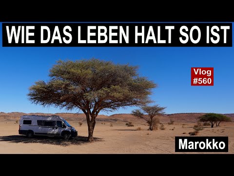 #560 Marokko, Süden - ASPHALT ENDE | Tschüss Merzouga, Einkaufsrunde | Alles was man nicht braucht