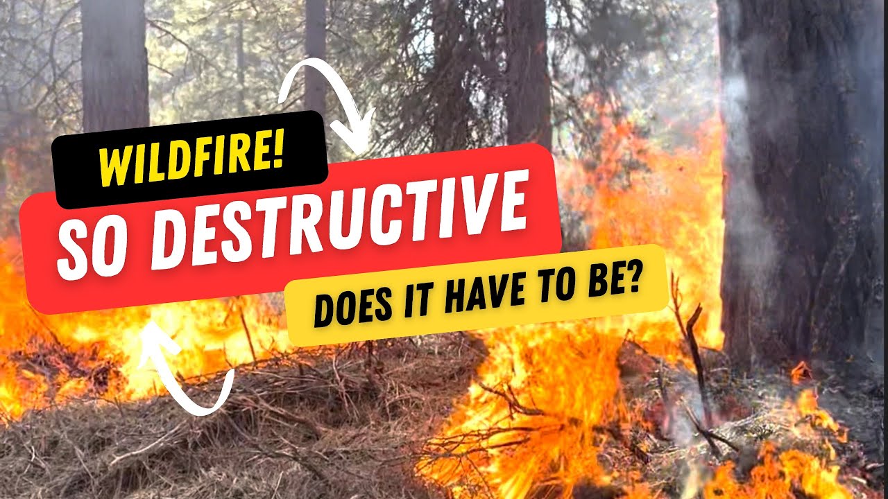 Wildfire Prevention: Technique #1