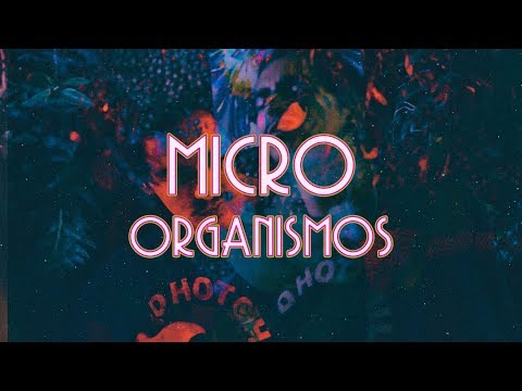 Micro-organismos video