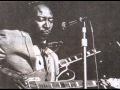 Jimmy Reed - Aw Shucks, Hush Your Mouth  （1962）