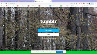 How to get started on Tumblr
