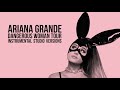 Ariana Grande - Into You (Dangerous Woman Tour - Studio Instrumental Version)
