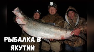 Реферат рыбалка в якутии