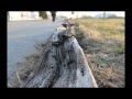 Grieves - Sunny Side of Hell [SFP music video]