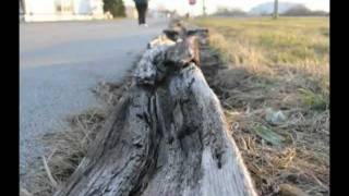 Grieves - Sunny Side of Hell [SFP music video]