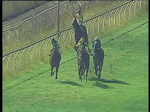 Galoppo 15/11/2017 - 6ª corsa