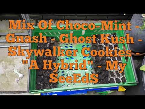 UKFN 2019 - Lets try this one again..