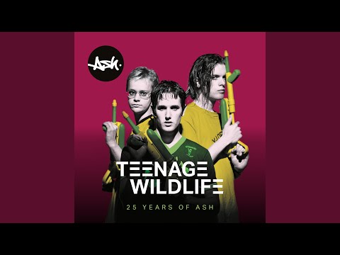 Shining Light (2020 - Remaster)