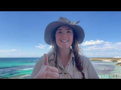 Laura the Explorer