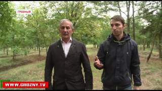 В Чечне отметили День лесничего