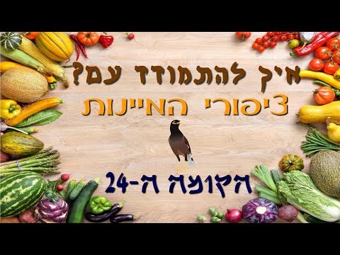 , title : 'איך להתמודד עם ציפורי המיינות?'