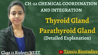 Ch-22 Chemical coordination & Integration | Thyroid and Parathyroid Glands | Class 11 Biology/NEET