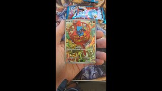 RIOOOOLU PULL!! The Baby Aura Fighter Appears!! ⚡️🐾