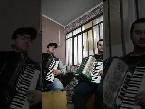 musica de Gildo de Freitas: Eu reconheço que sou um Grosso