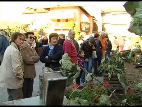 Comune di Roccavione: la sagra del marrone