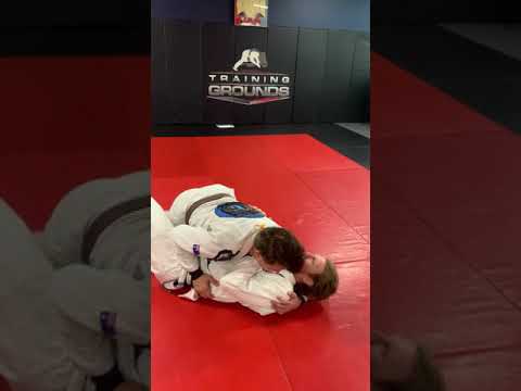 Half guard pass to mount