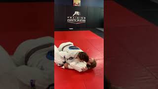 Half guard pass to mount