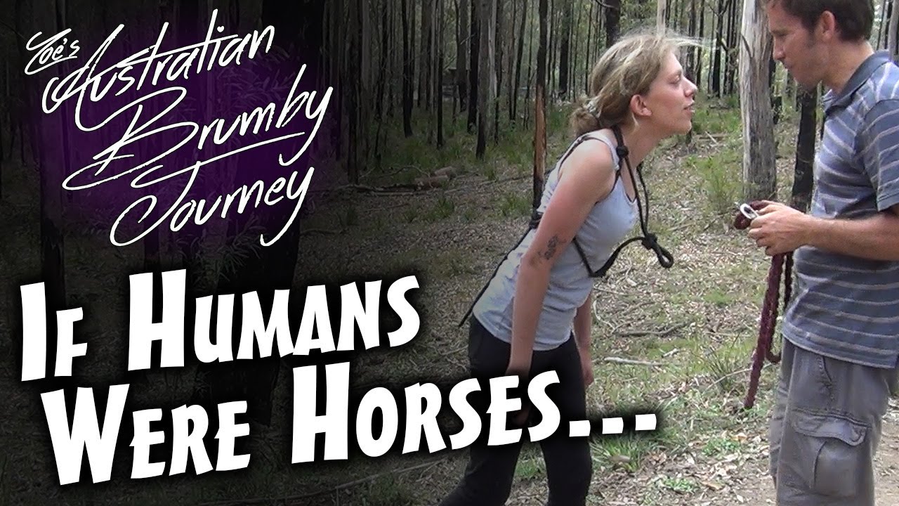 If Humans Were Horses 🐴Australian Horse Training