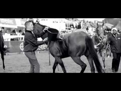 The Investec Derby Story