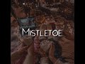 Ｍｉｓｔｌｅｔｏｅ Ｊｕｓｔｉｎ Ｂｉｅｂｅｒ Ｓｌｏｗｅｄ Ｒｅｖｅｒ