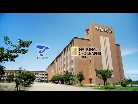 日本文化学科 【帝京大学 ✕ ナショジオ コラボ動画】福岡医療技術学部診療放射線学科 亀澤秀美 准教授の研究紹介「CTやMRIなどの医用画像からがん治療に役立つ情報を抽出」