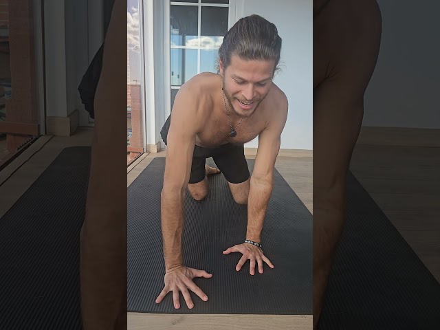 Vídeo relacionado con the Fan Tee Body de Bebe Deportes Pilates Regalo Divertido, Entrenamiento,relajación Yoga Deportiva 003 3 Meses