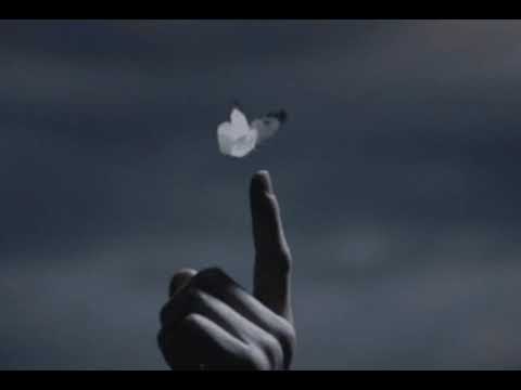 Inside - Chris Avantgarde feat. Red Rosamond Clip Arte