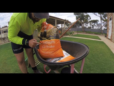 Using GYPSUM to fix dry spots in the lawn - Success!!