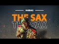 Habias The Sax Visualizer Music